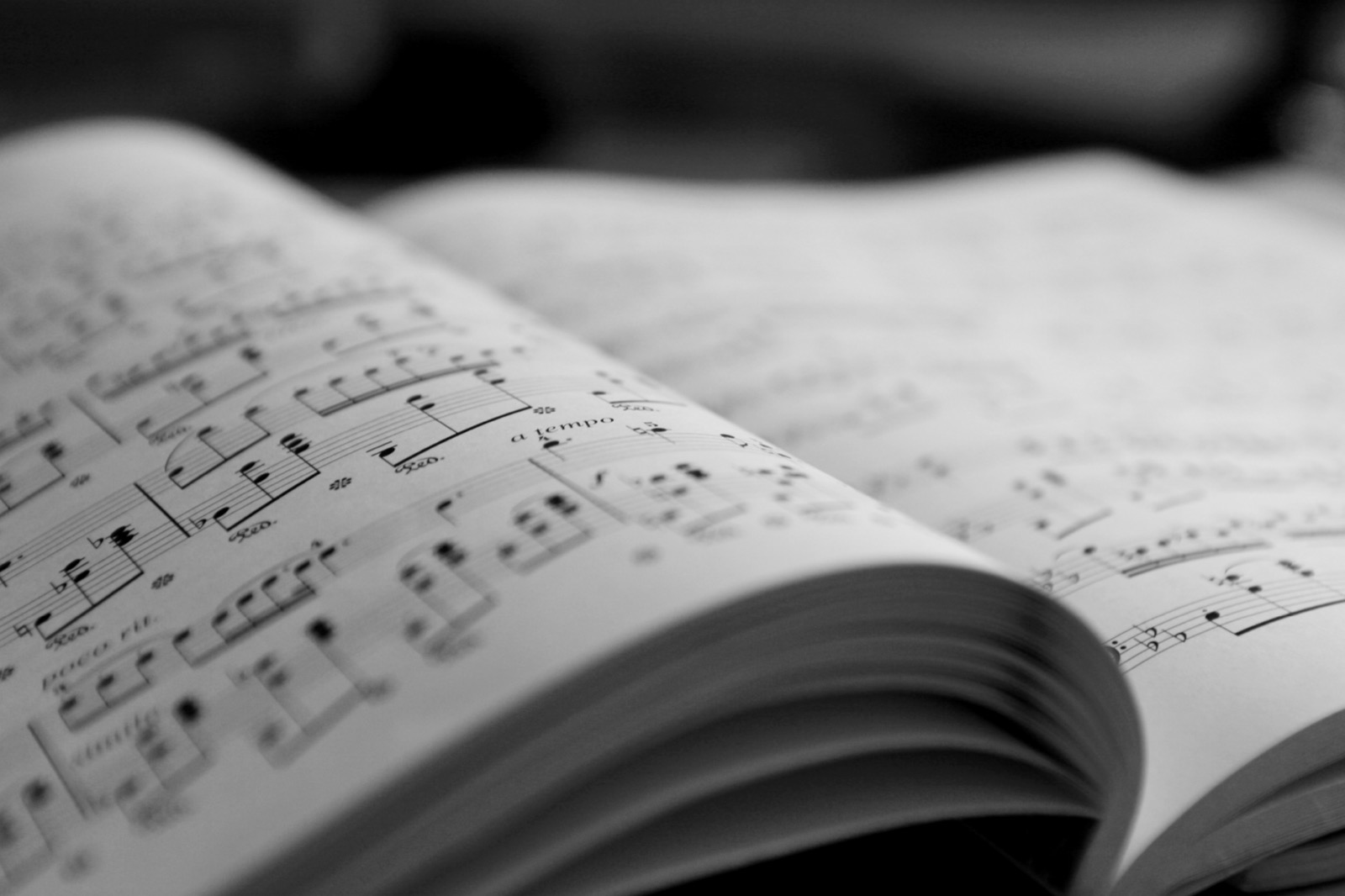 Piano or keyboard for beginners